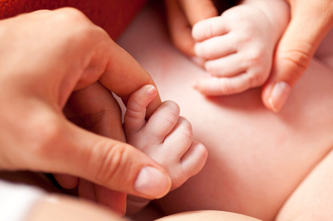 Baby hält die Finger der Mutter, Leipzig, Sachsen, Deutschland