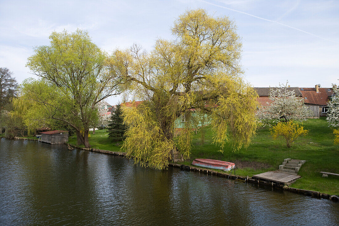 Trees along the riverside of a kanal near Ahrensberg, Mecklenburgian Lake District, Mecklenburg-Pomerania, Germany