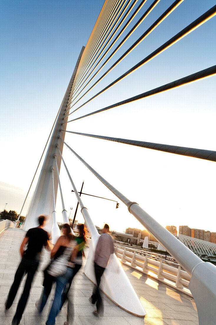 Puente de l'Assut de l'Or, Brücke in der Stadt der Künste und der Wissenschaften, Cuidad de las Artes y las Ciencias, Santiago Calatrava (architect), Valencia, Spanien