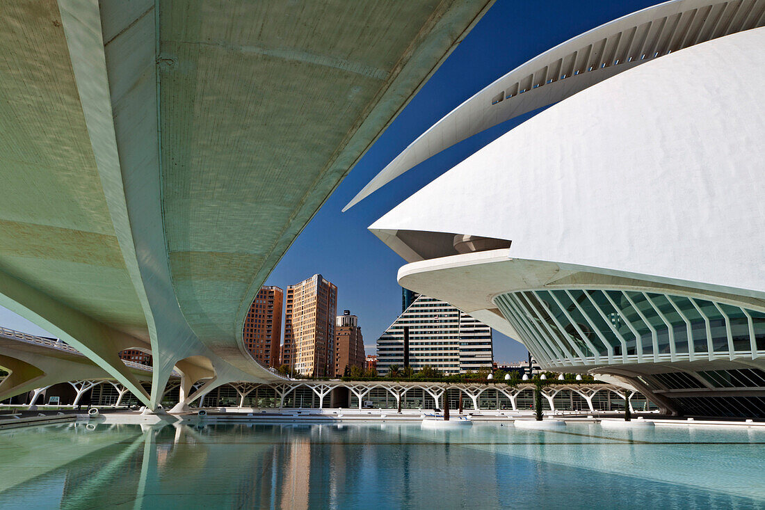 Monteolivete Brücke und Palau de les Arts, Stadt der Künste und der Wissenschaften, Cuidad de las Artes y las Ciencias, Santiago Calatrava (architect), Valencia, Spanien