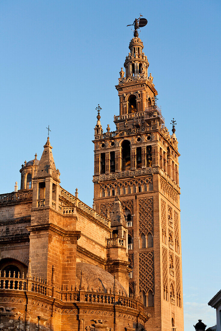 Glockenturm von der Kathedrale von Sevilla, Catedral de Santa María de la Sede, Seville, Spanien