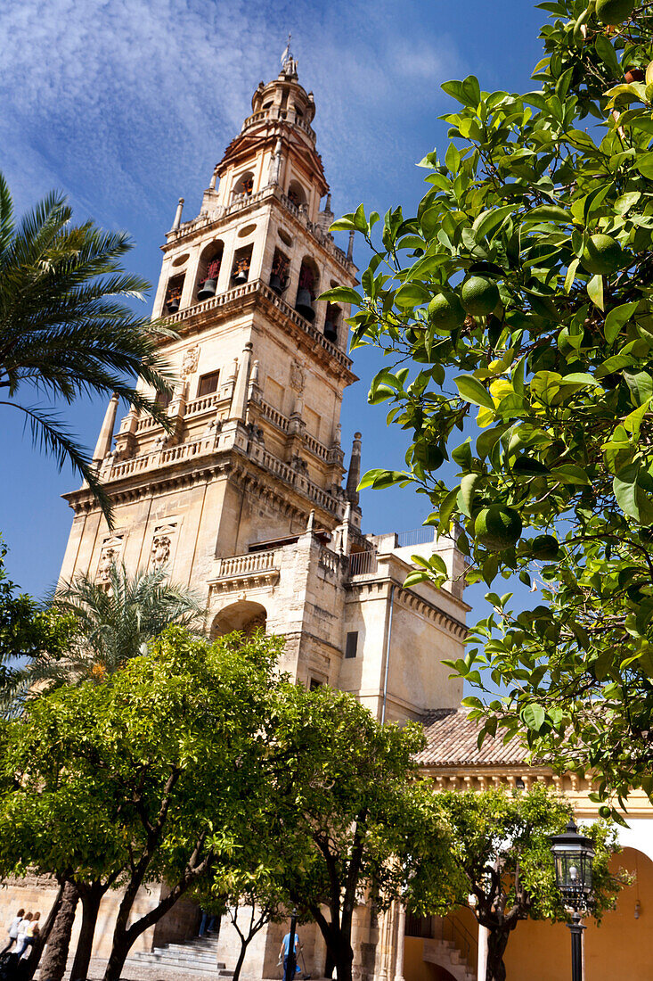 Glockenturm der Mezquita Catedral von Córdoba, Cordoba, Spanien