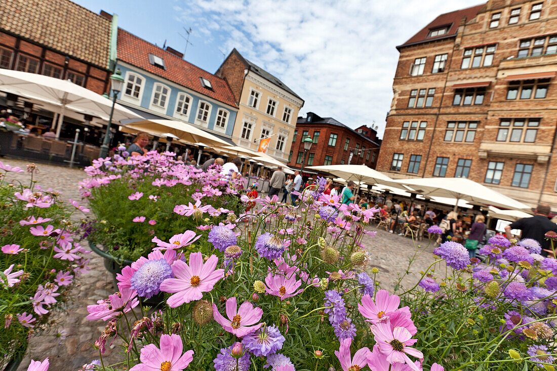 Blumen auf Lilla Torg Platz, Malmö, Schweden