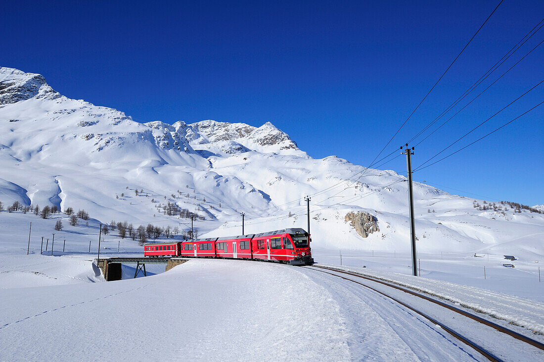 Zug der Rhätische Bahn fährt über Brücke durch Winterlandschaft von St. Moritz zum Berninapass, UNESCO Weltkulturerbe Rhätische Bahn, Rhätische Bahn, Albula-Bernina-Linie, Berninabahn, Berninagruppe, Oberengadin, Engadin, Graubünden, Schweiz, Europa