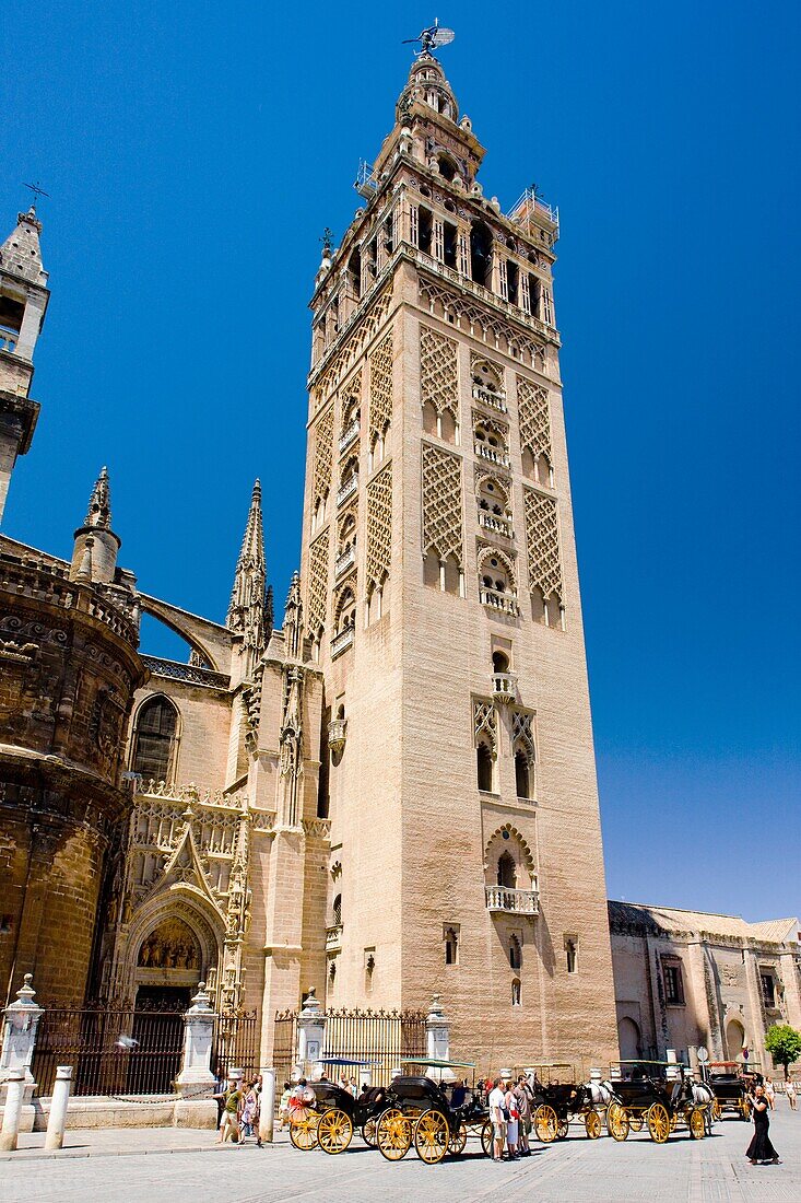 La Giralda, Cathedral of Seville, Andalusia, Spain