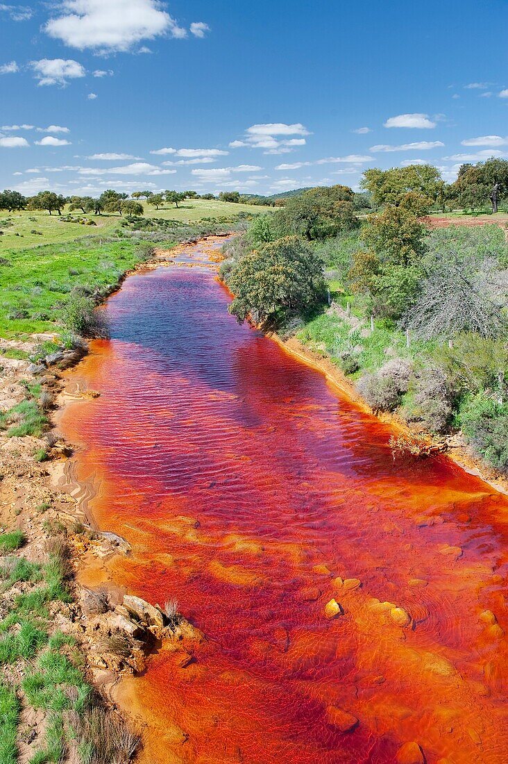 Rivera in the Sierra. Huelva. Andalusia. Spain