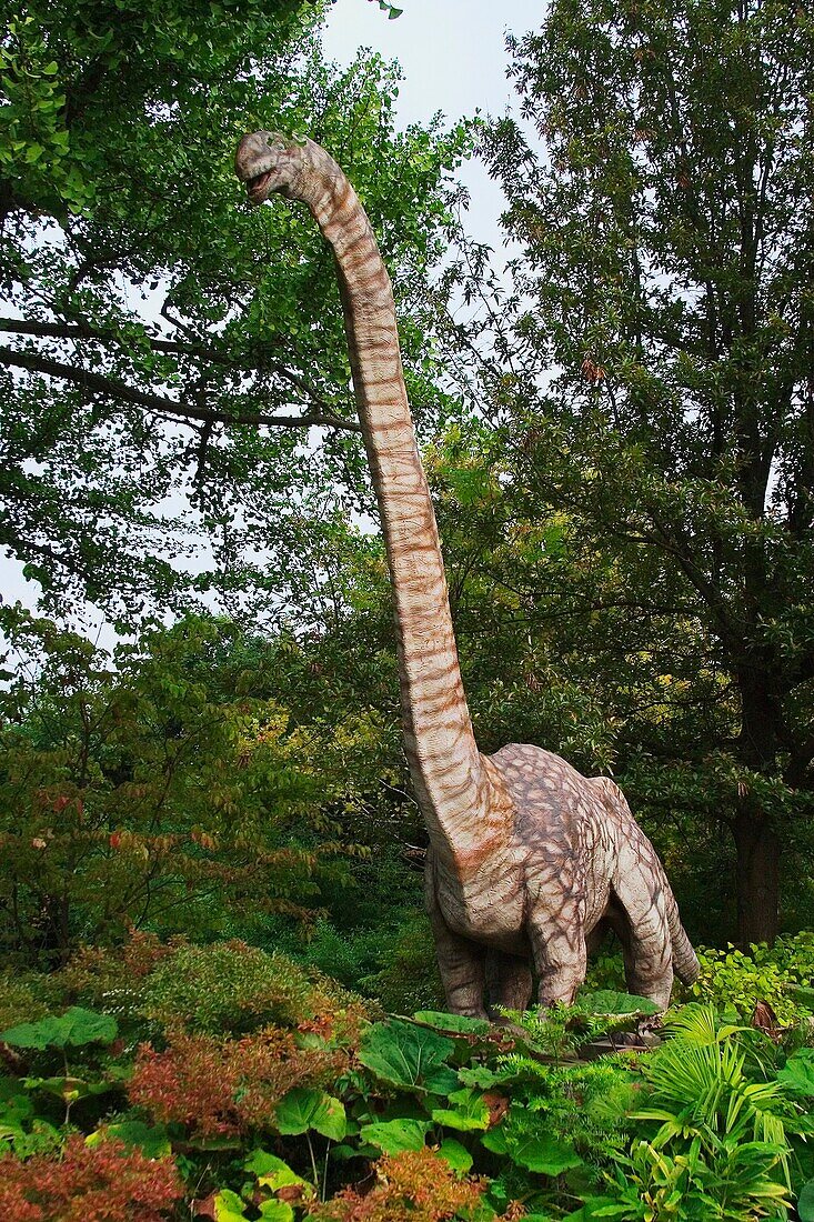 Omeisaurus lived in the late Jurassic Period to early Cretaceous Period