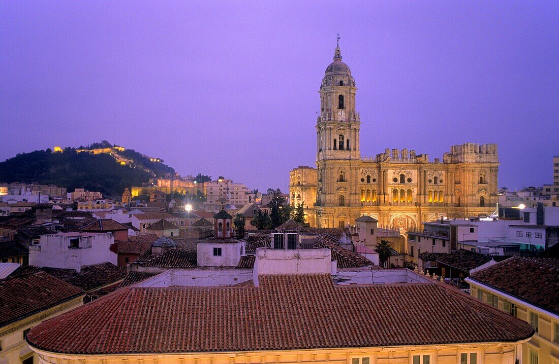 Málaga Andalusia Spain: Panoramic of the city and the cathedral