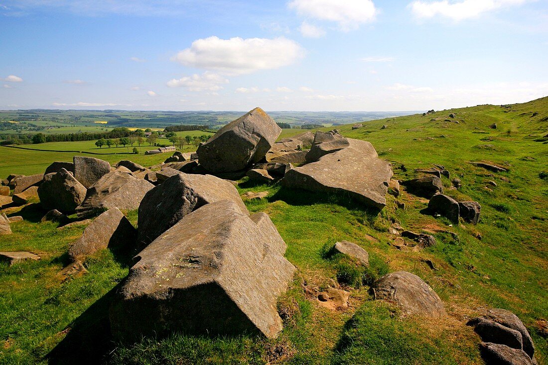 Roman Limestone Quarry, Hadrian's Wall, Northumberland, England