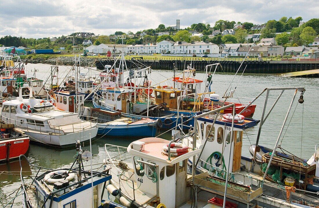 Fishing boats in the port harbour of Greencastle on the Inishowen shore of Lough Foyle in north Donegal, Ireland