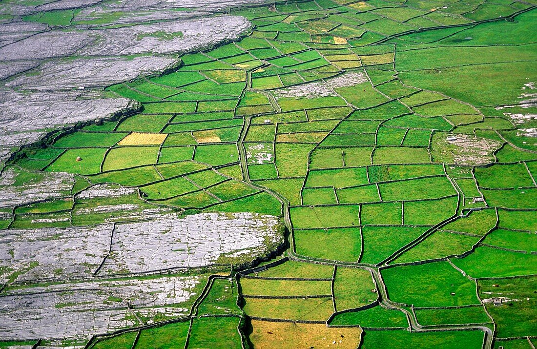 Fields on Inishmore, the largest of the Aran Islands, County Galway, Ireland Typical dry karst limestone farmland landscape