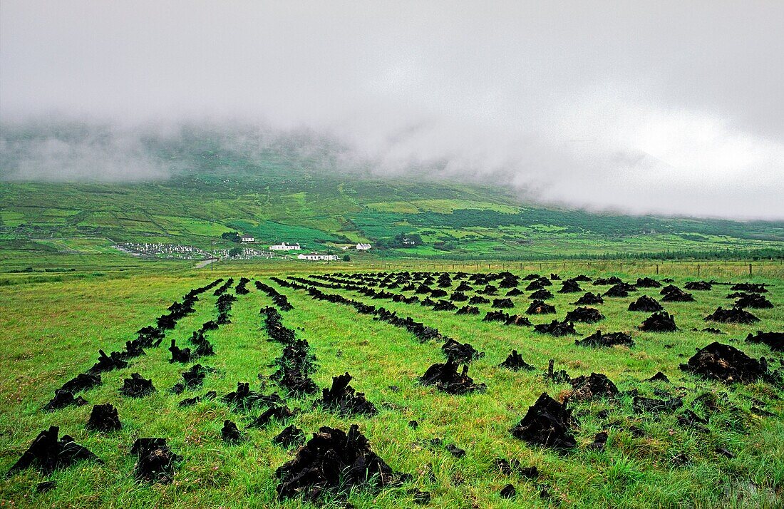 Peat turf stacked to dry for fuel below mist covered Slievemore mountain on Achill Island, County Mayo, west Ireland