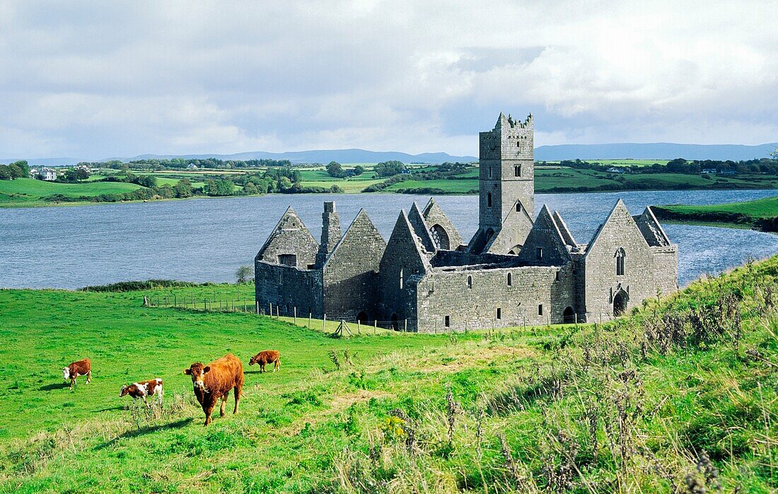 The ruins of Rosserk 15C Franciscan Friary on the Moy estuary near the town of Killala, County Mayo, west Ireland