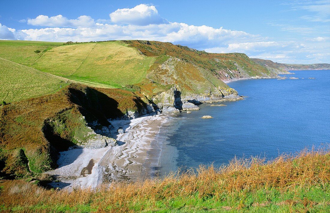 The South West Coast Path along English Channel cliff coast between Bolt Head and Bolt Tail near Salcombe, Devon, England