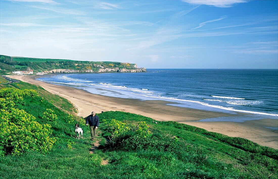 Man walking dog above Upgang Beach and Sandsend village Two miles west of Whitby on North Sea coast in North Yorkshire, England