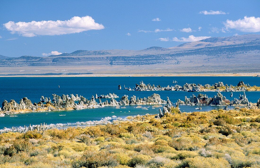 Mono Lake, California, USA Tufa formations exposed due to lowering of original water level in Mono Lake, now a water reservoir