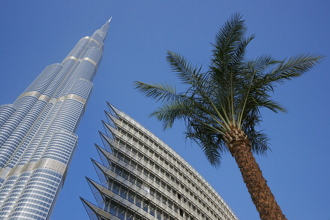 Burj Khalifa, Burj Chalifa, 828 Meter high, Dubai, United Arab Emirates, UAE