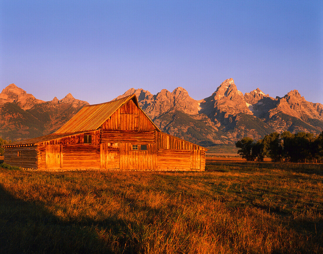 South Moulton Barn at Sunrise, Grand Teton National Park, Wyoming, USA