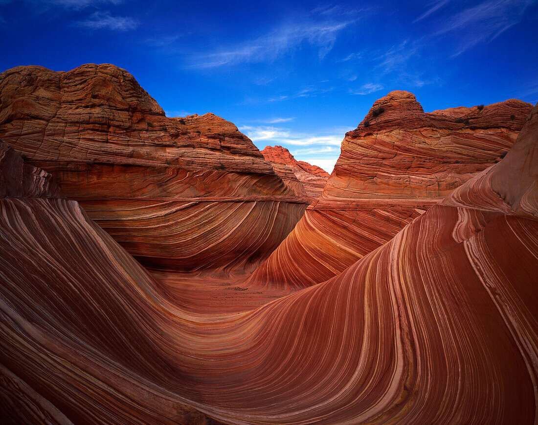 The Wave sandstone formation at Coyote Buttes, Coyote Buttes, Arizona, USA