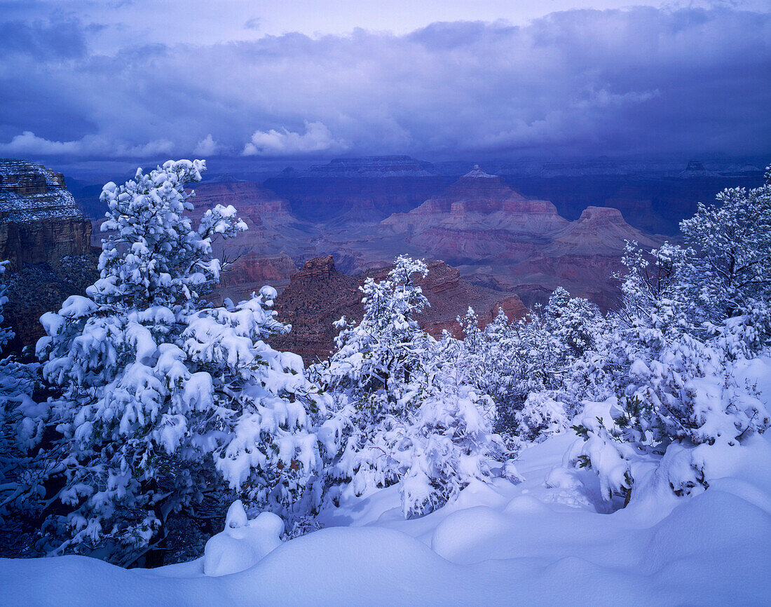 Snowfall on South Rim, Grand Canyon National Park, Arizona, USA