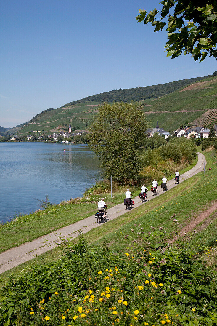 View of Zell-Merl Village & Church from Vinyard, Koblenz, Rhineland-Palatinate, Germany