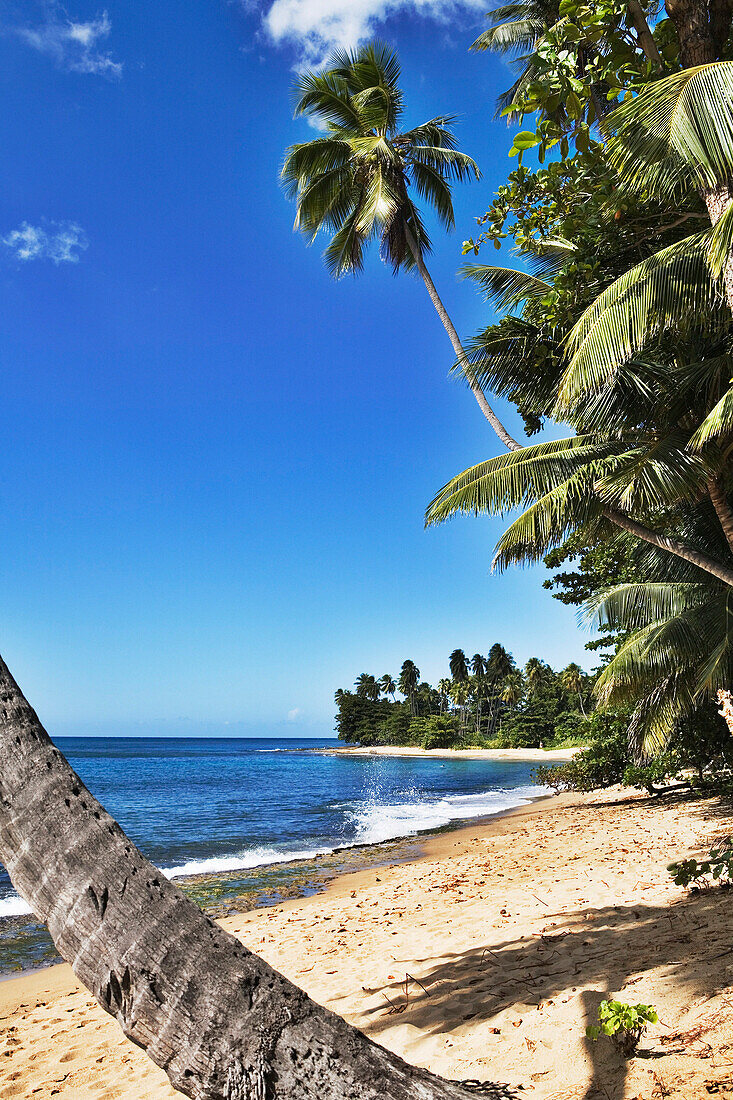 Unspoilt beach at Tres Palmas Marine Reserve, Rincon, Puerto Rico, Caribbean