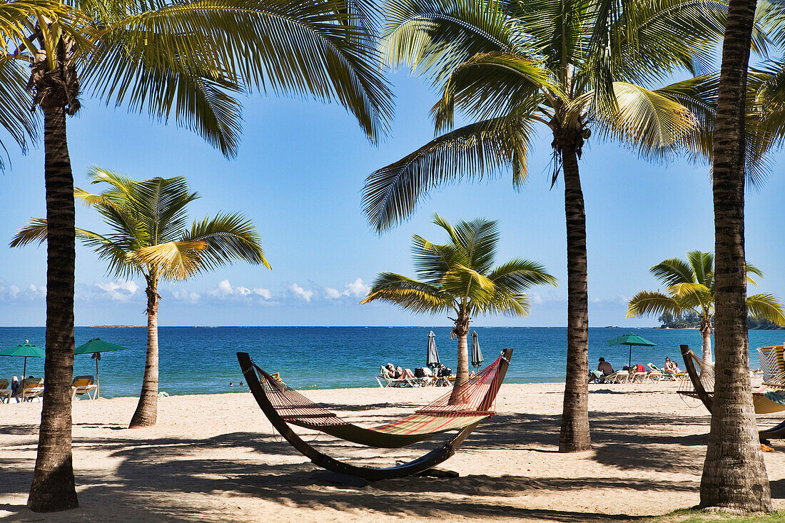 Isla Verde beach with palm trees and hammock, San Juan, Puerto Rico, Caribbean