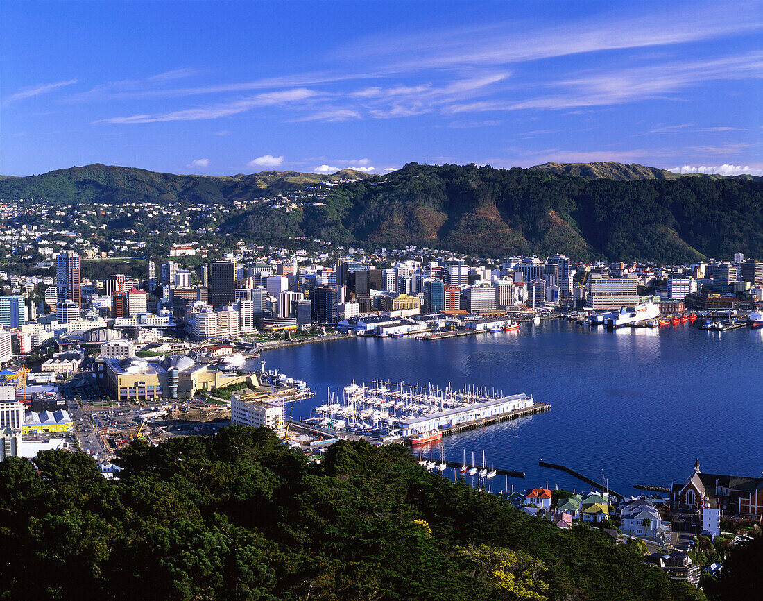 Harbour and Central Business District from Mount Victoria, Wellington, North Island, New Zealand