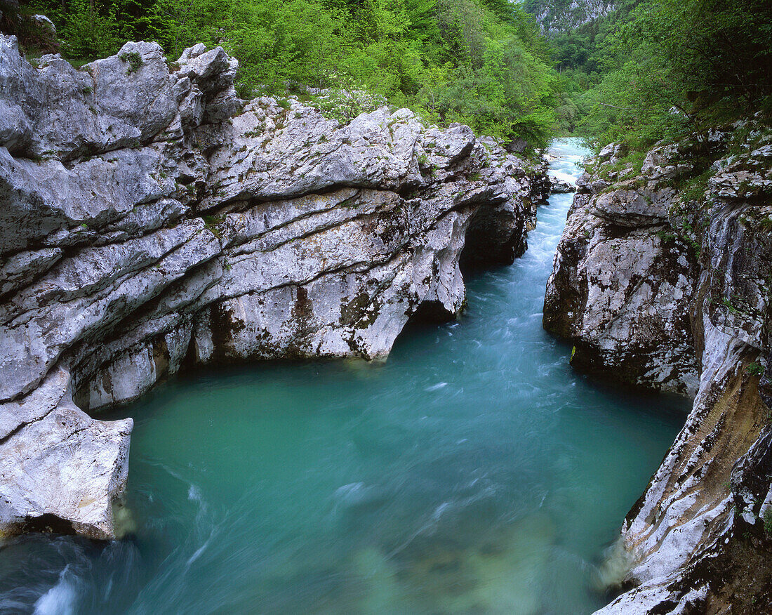 Ravine on the River Soca, Triglav National Park, Gorenjska, Slovenia