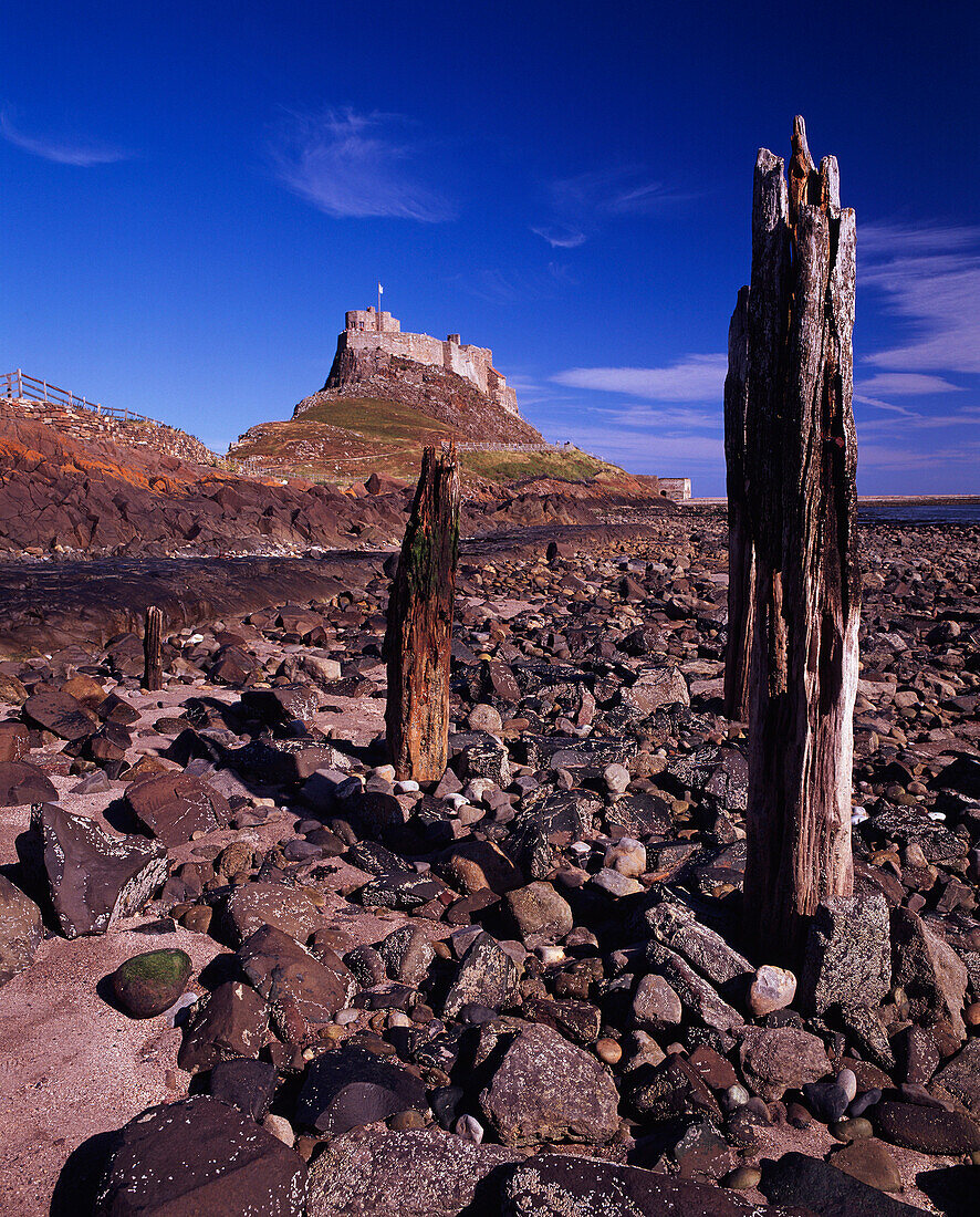 Lindisfarne Castle from rocky beach, Holy Island, Northumberland, UK - England