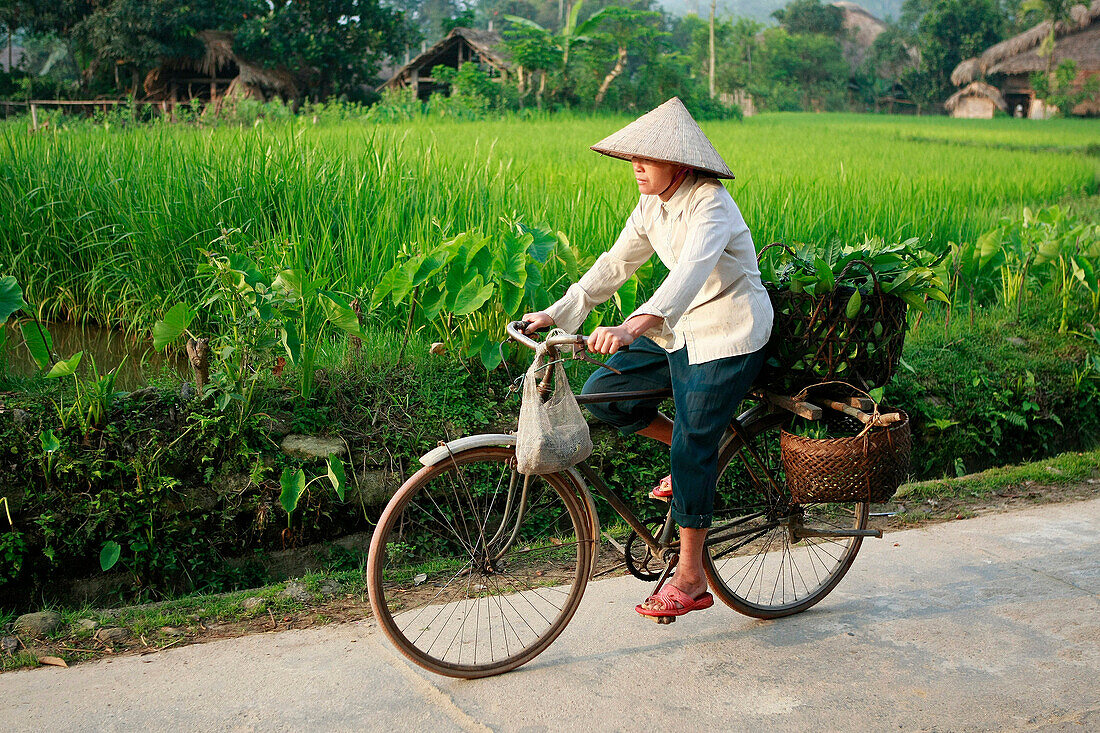 Woman cycling through village of Me, Ha Giang - near, Vietnam