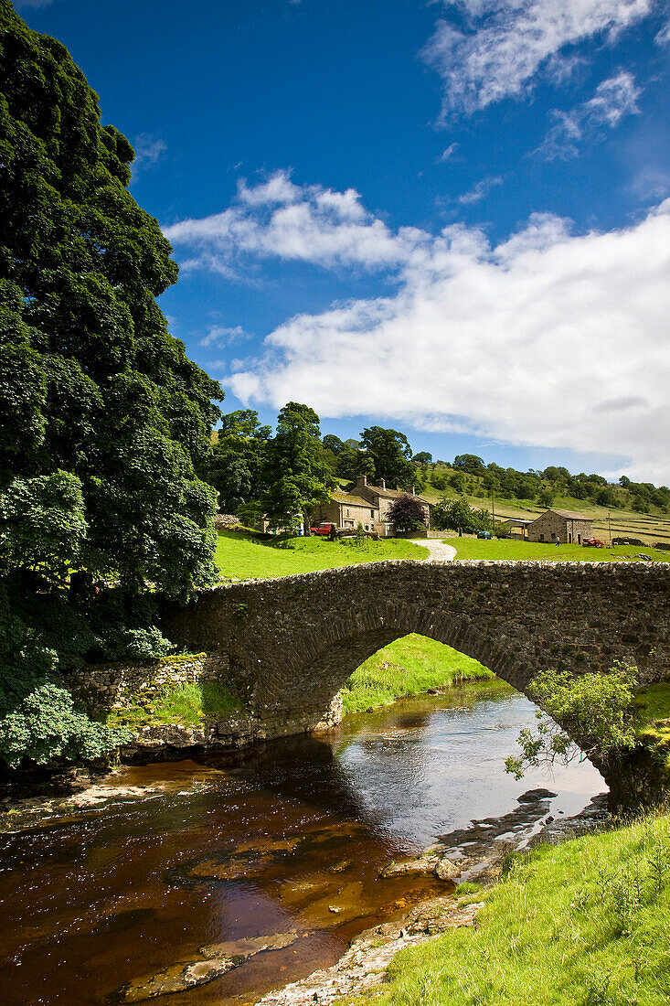 Rural scenery in the Yorkshire Dales National Park, Yockenthwaite, Yorkshire, UK - England