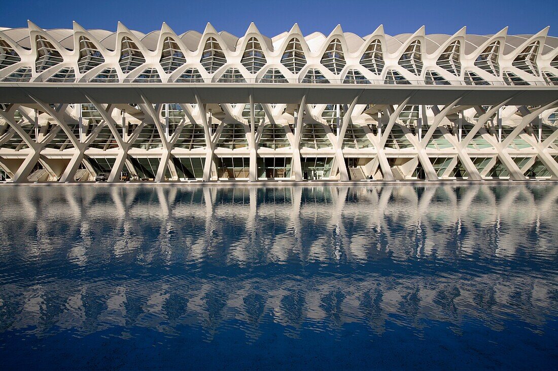The Science Museum, City of Arts and Sciences, Valencia, Spain