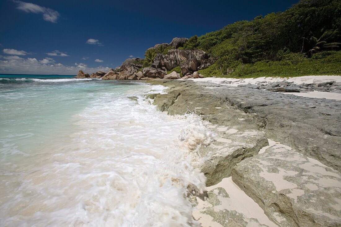 Reef at Grand Anse, La Digue, Island Seychelles