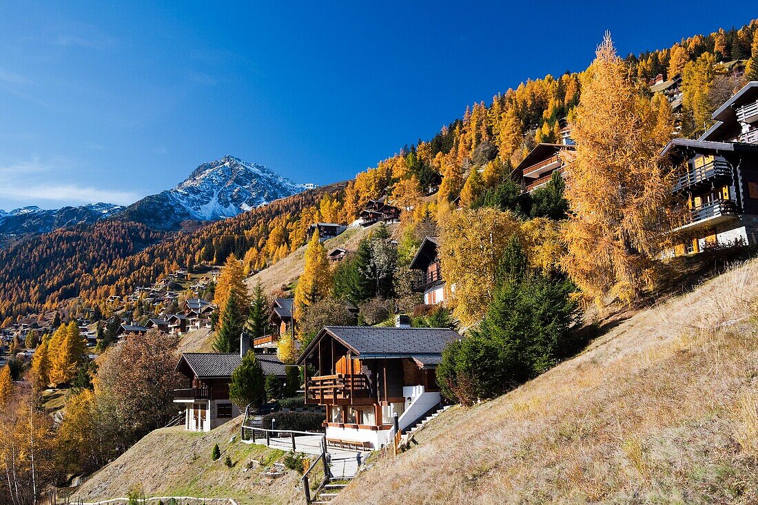 Autumn in the Alps