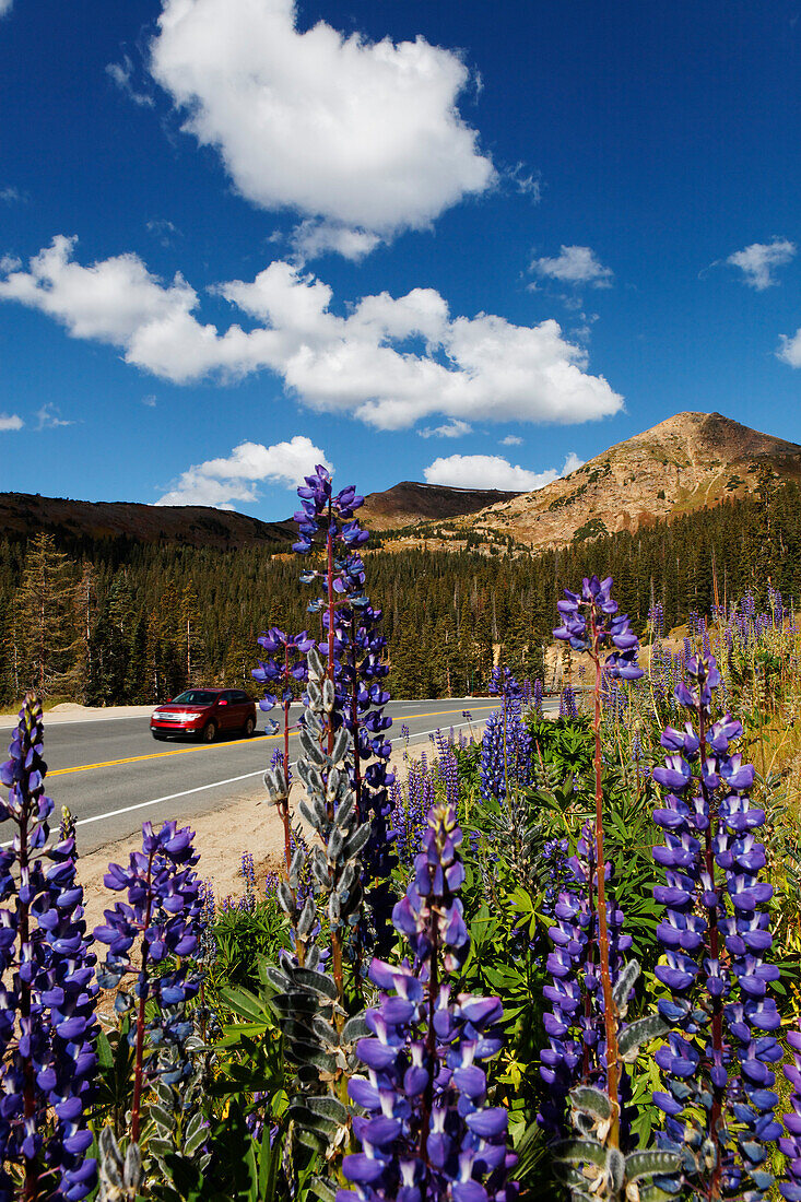 Fraser, Autobahn 40, Colorado, USA, Nordamerika, Amerika