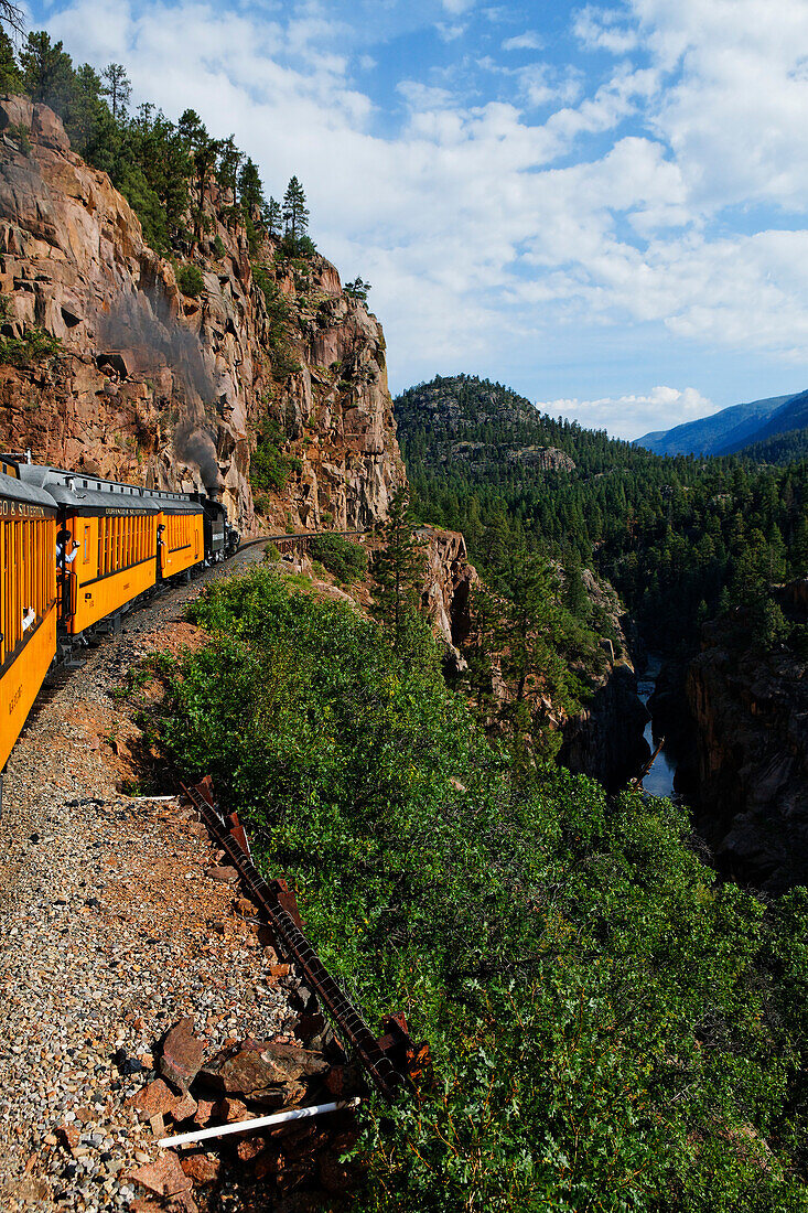 Durango-Silverton Narrow Gauge Railroad mit dem Animas River, La Plata County, Colorado, USA, Nordamerika, Amerika