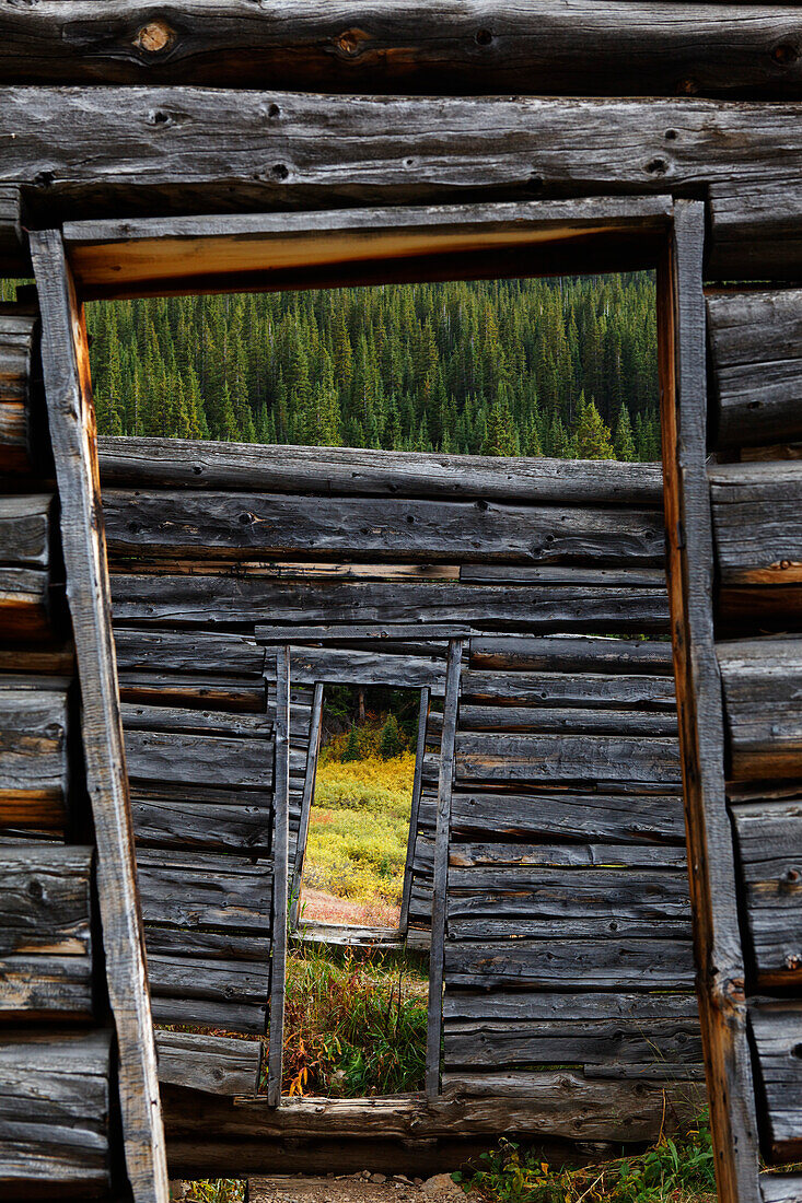 Ghost town Independence, Aspen, Rocky Mountains, Colorado, USA, North America, America