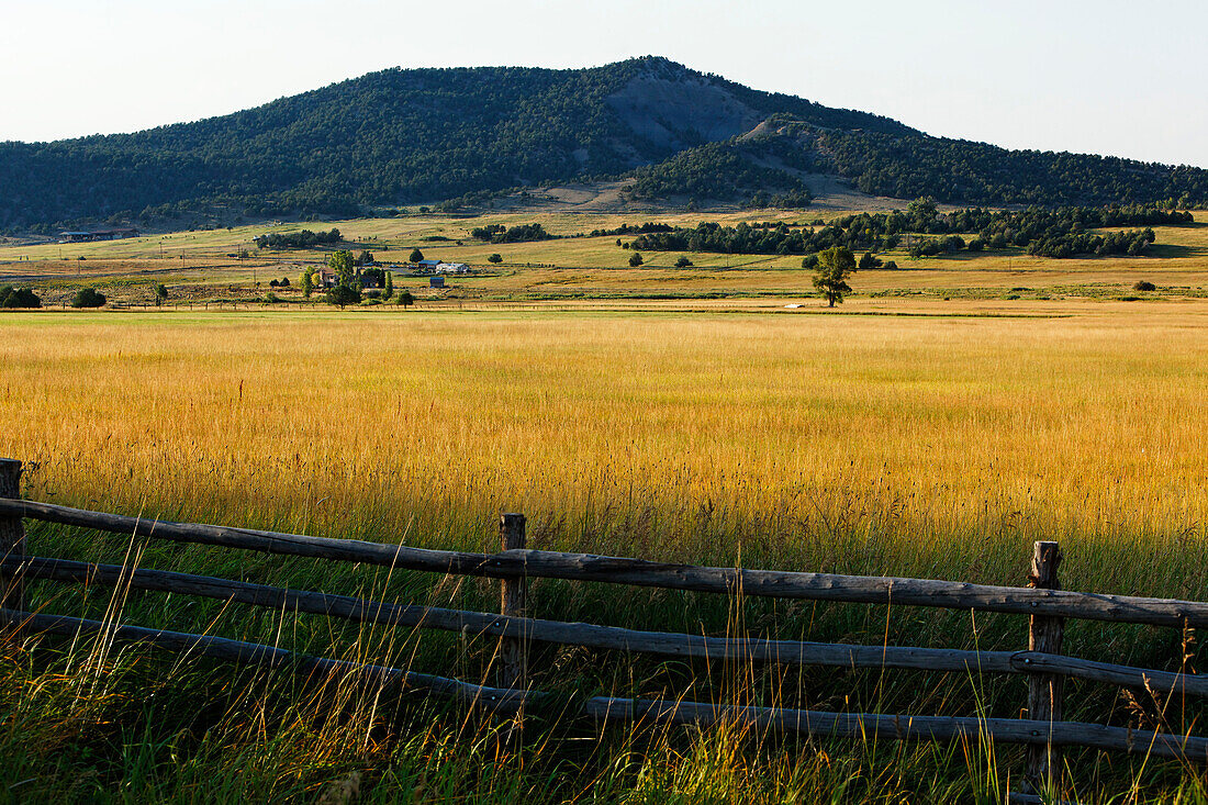 Feld bei Ouray, Rocky Mountains, Colorado, USA, Nordamerika, Amerika