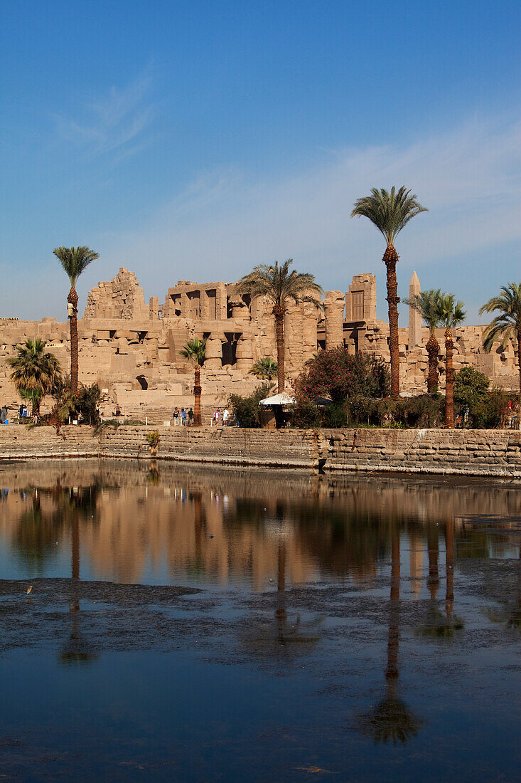 Sacred lake and Karnak Temple Komplex, Luxor, ancient Thebes, Egypt, Africa