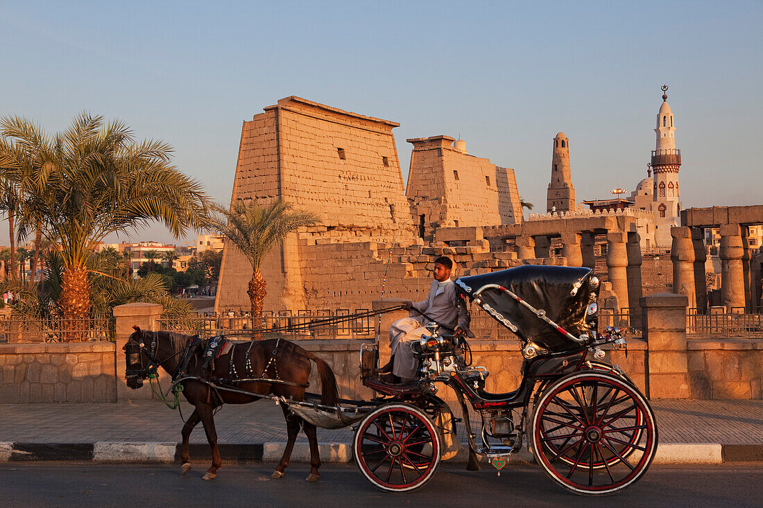 Horse and carriage in front of the Luxor Temple, Luxor, ancient Thebes, Egypt, Africa