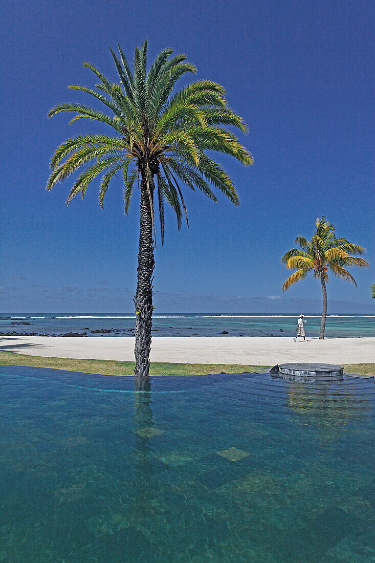 Palm trees at the pool of Shanti Maurice Resort, Souillac, Mauritius, Africa