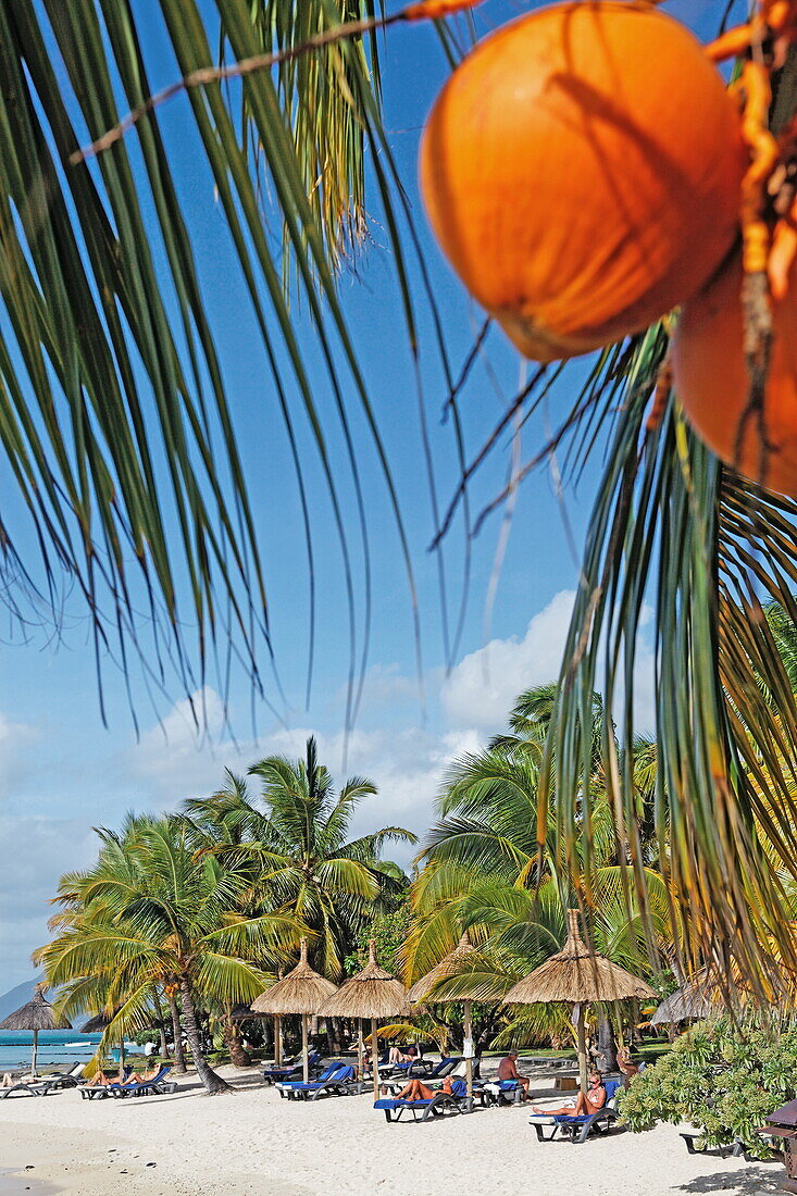 Palmen und Menschen am Strand des Beachcomber Hotel Paradis &amp,amp,amp; Golf Club, Mauritius, Afrika
