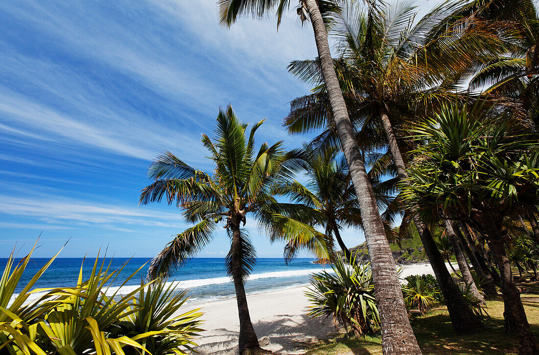 Palmen am Strand von Grand Anse von Petite Ile, La Reunion, Indischer Ozean