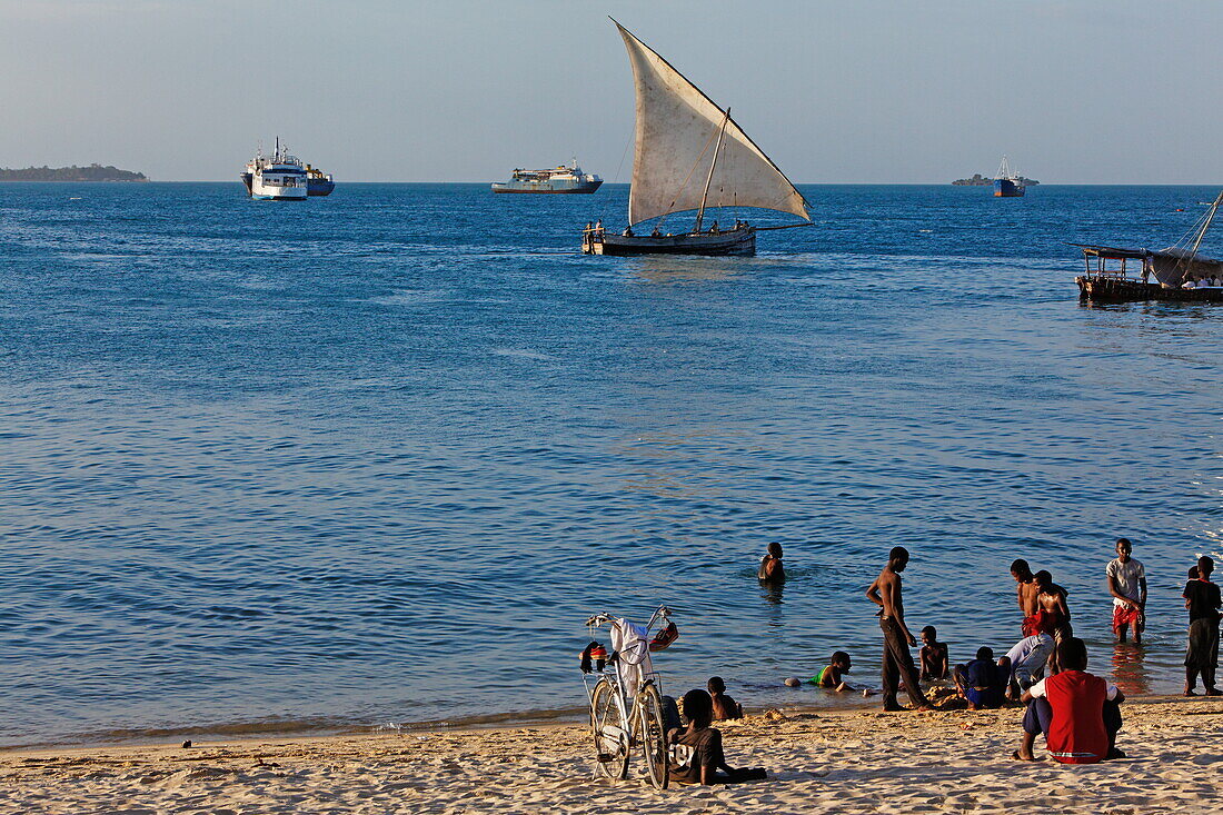 Daus segeln entlang dem Stadtstrand von Stonetown, Sansibar City, Sansibar, Tansania, Afrika