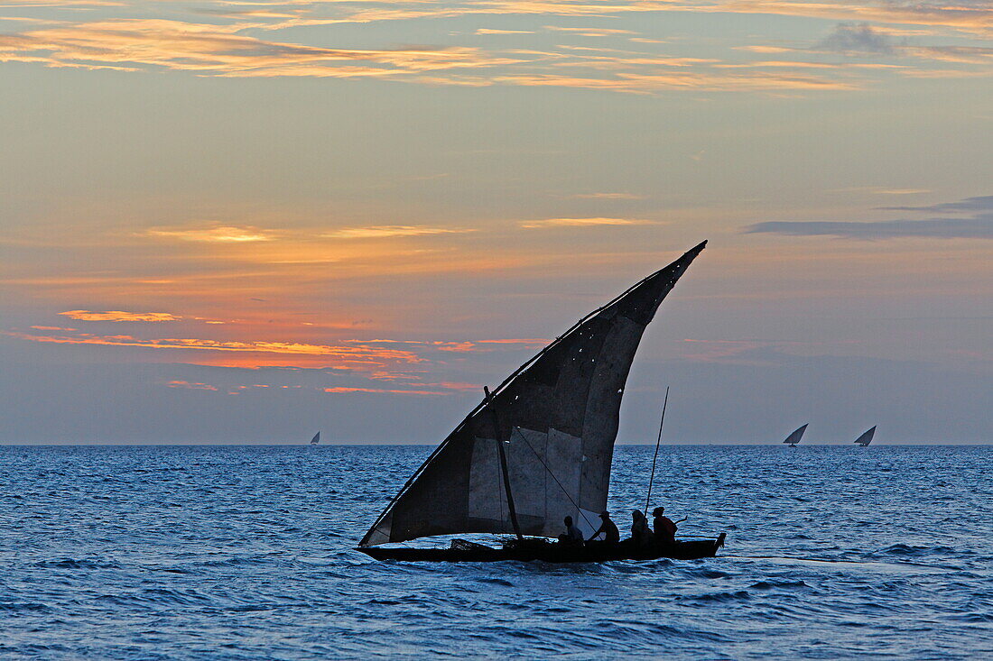 Traditionelles Dau segelt bei Sonnenuntergang, Sansibar, Tansania, Afrika