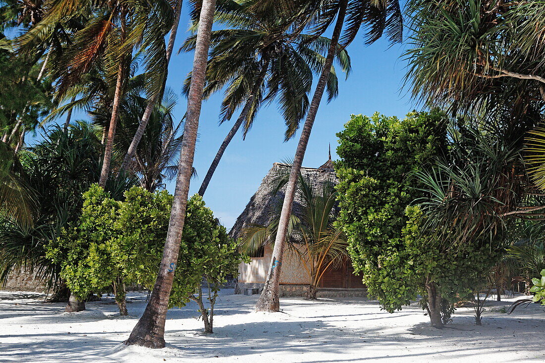 Einfache Bungalows des Santa Maria Coral Park Hotels am Strand, Pongwe, Sansibar, Tansania, Afrika