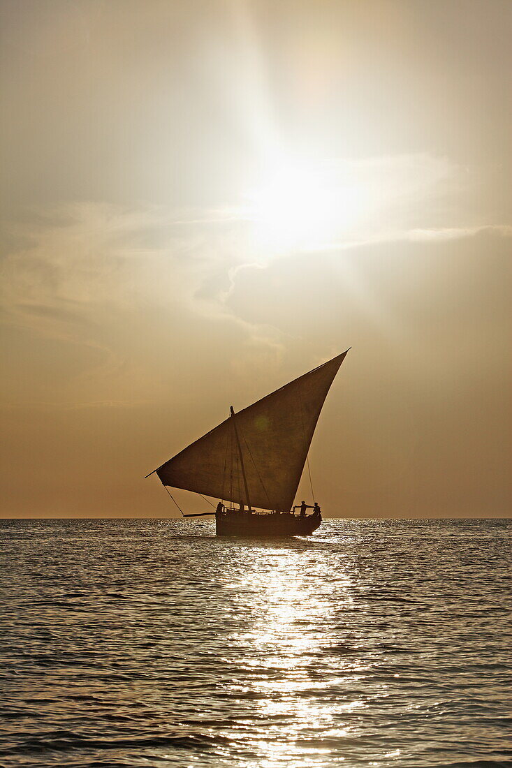 Dau segelt entlang dem Stadtstrand von Stonetown, Sansibar City, Sansibar, Tansania, Afrika