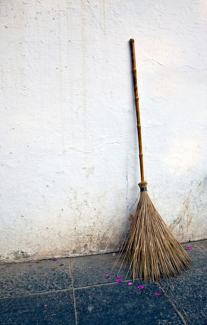 Broom Leaning Against Wall, Udaipur, Rajastan, India