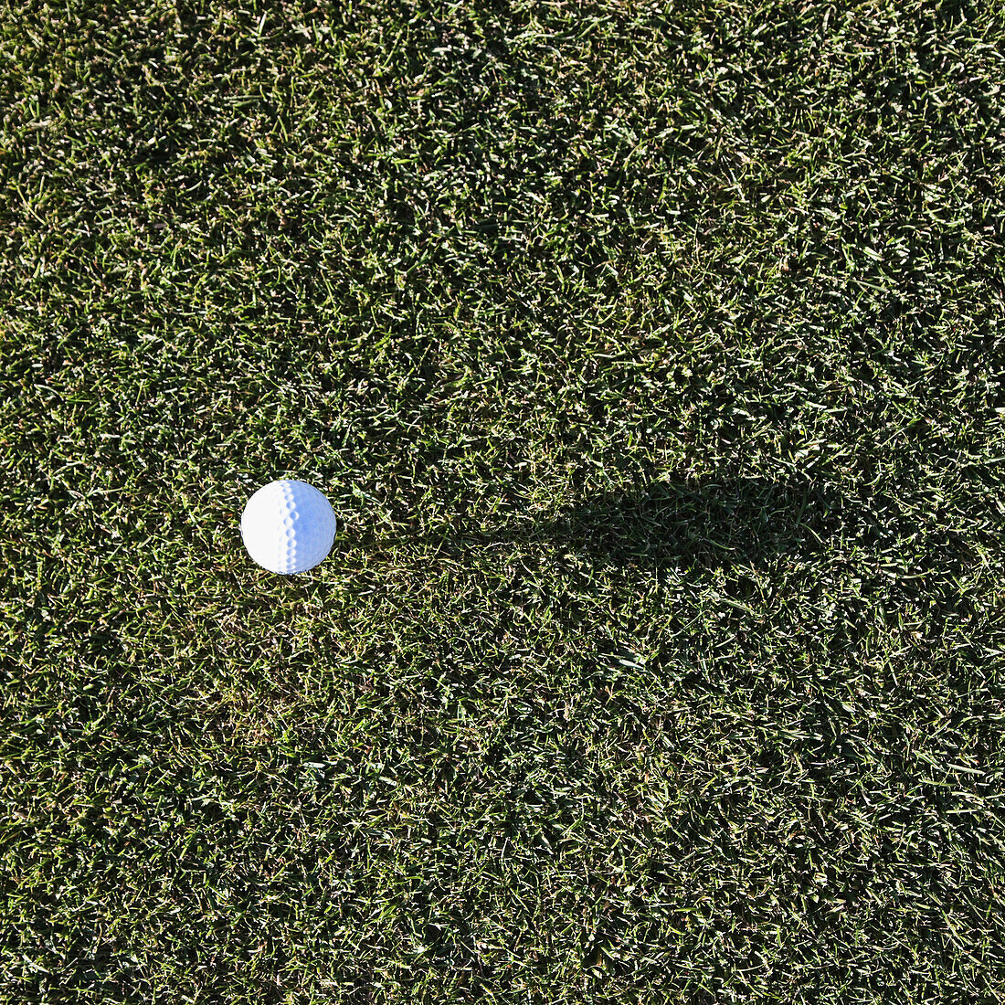 White Golf Ball on Green, Cle Elum, Washington, USA
